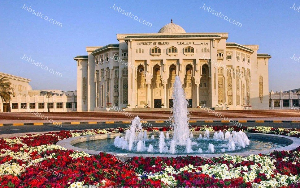 وظائف شاغرة في جامعة الشارقة وظائف جامعة الشارقة